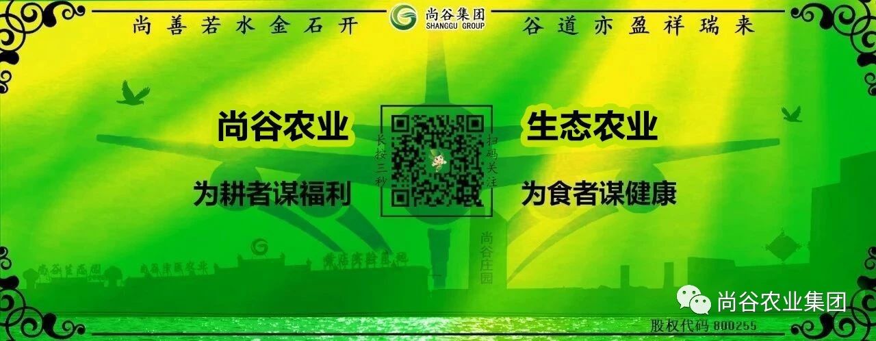 山东尚谷农业集团有限公司