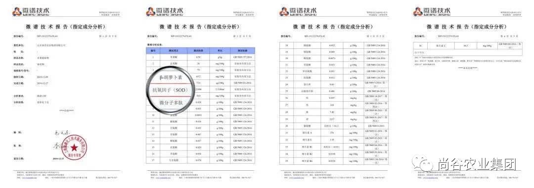 山东尚谷农业集团有限公司