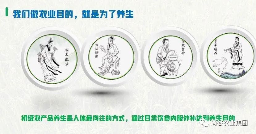 山东尚谷农业集团有限公司