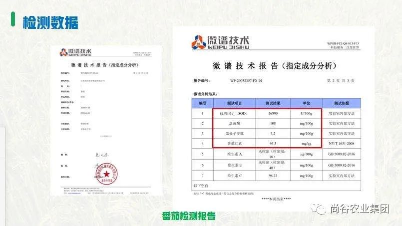山东尚谷农业集团有限公司