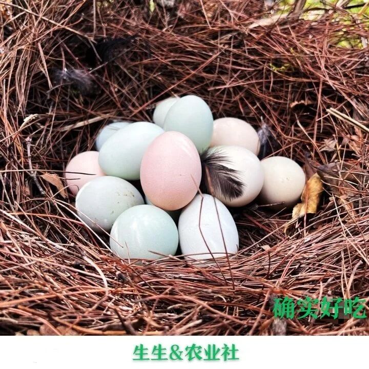 生生未来农业标识