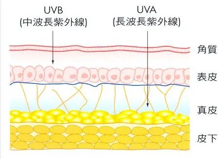 六宝典最新资料大全