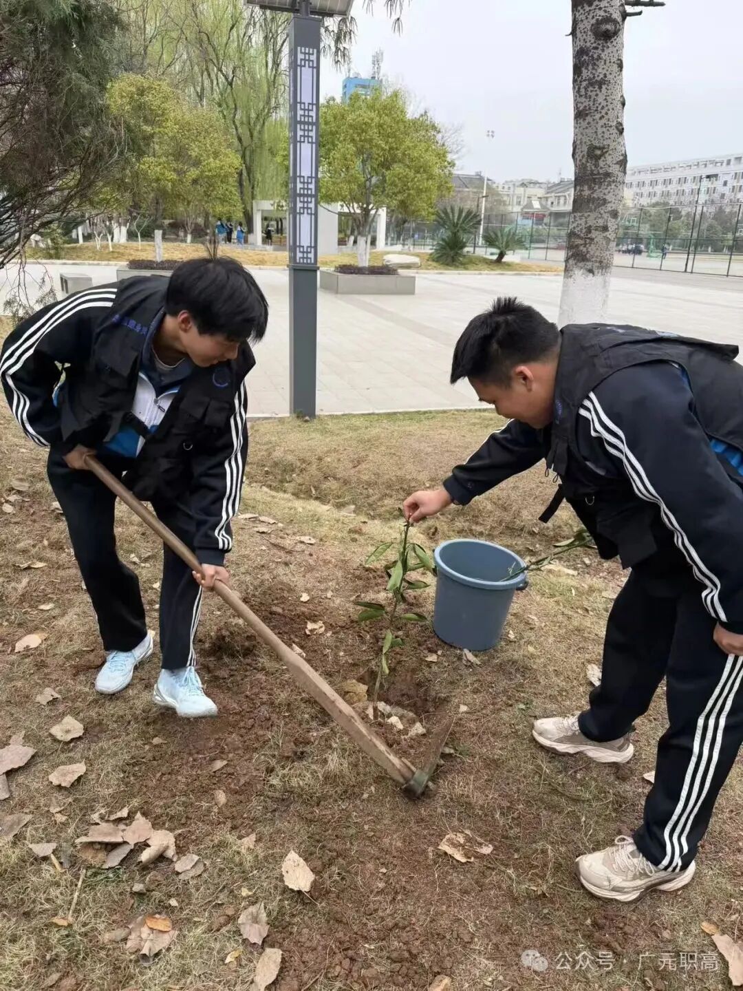图片