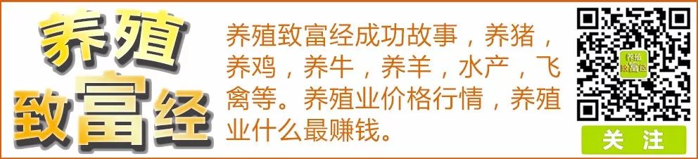 农村未来10大暴利行业 未来几年，农村4个暴利行业，年赚百万不敢说，10万应该没问题