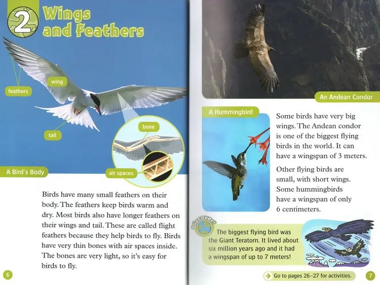 【免费资源分享】Oxford Read and Discover牛津阅读和探索（含绘本、音频）