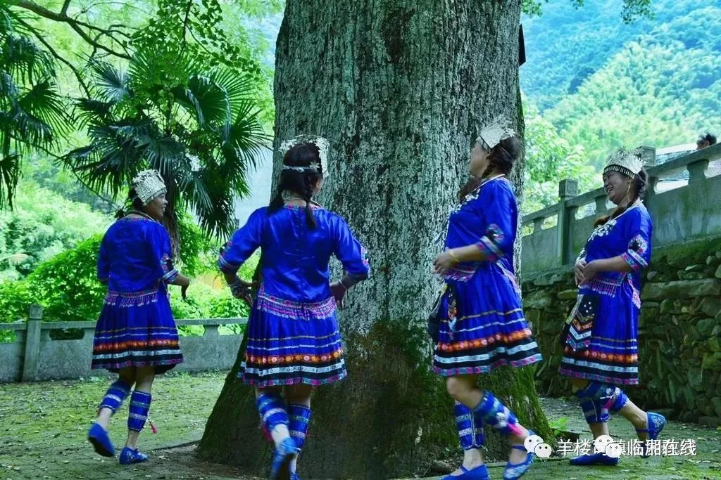 春季景点旅游推荐理由_春季旅游景点排行榜_春季旅游景点推荐/