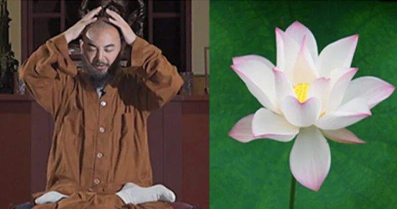 诚忠堂剧情莲花结局_诚忠堂莲花身世_莲花堂