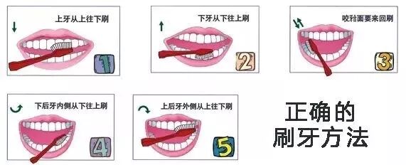 电动牙刷，只是拯救了你的懒癌！