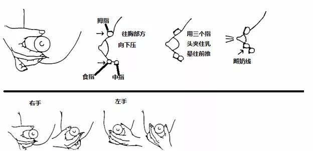 寶媽不容錯過：3招搞定急性乳腺炎！ 親子 第9張