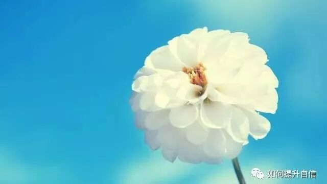 一个人真正的自信，源自于能够在自卑中不断成长！