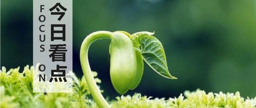 你若堕落，谁也救不了； 你若成长，绝处也能逢生！