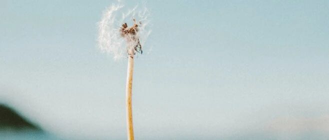 为什么我总是对外人友善对亲人不耐烦？