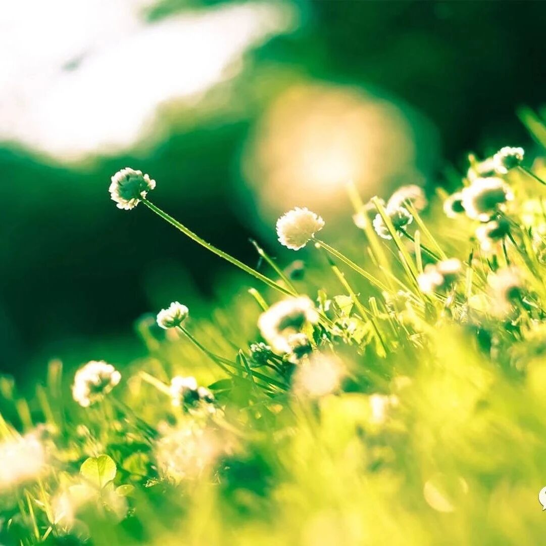 如何让自己能够每天进步一点点？