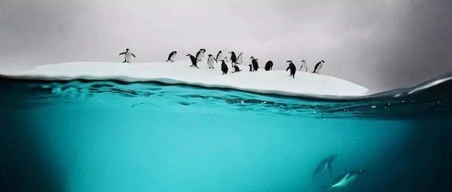 总在别人的眼神里寻找肯定，证明你很自卑！