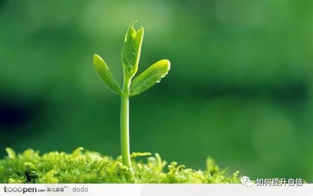 别把人生的顺序搞反了！（一定要看）