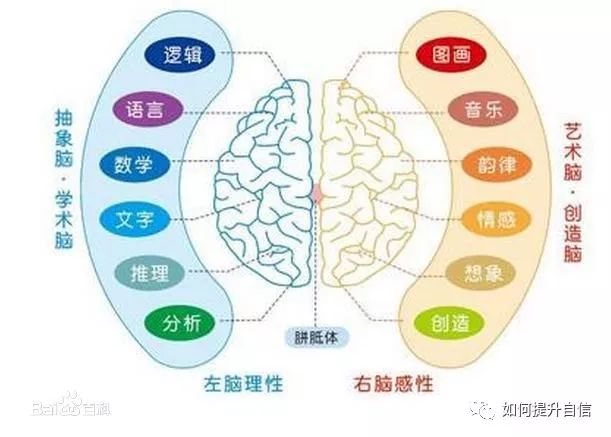 【測驗】你是左腦思維，還是右腦思維？ 職場 第3張