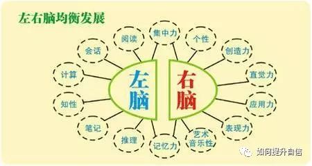 【測驗】你是左腦思維，還是右腦思維？ 職場 第6張