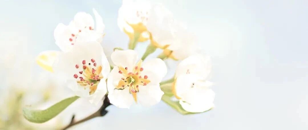 一个人越活越幸福的5个好习惯（收藏养成）