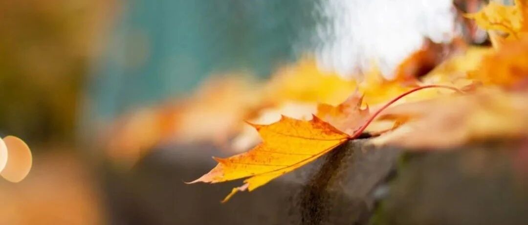 一个人成为“废柴”的九大根源，值得每个人深思！