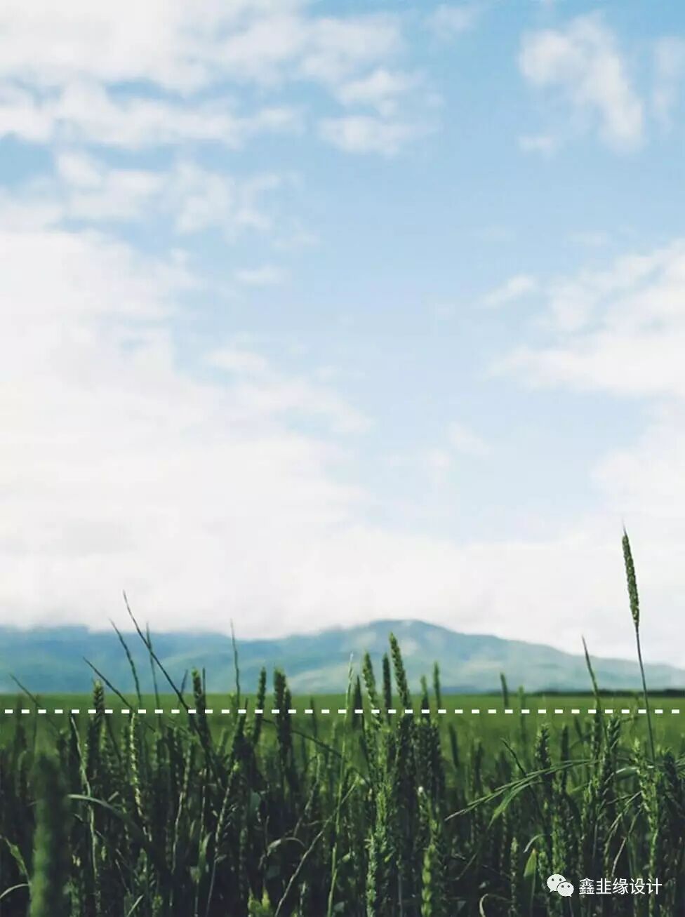 景物呈现出横线形式;画面平静,安宁,舒适,层次感强4 低水平线构图黄金