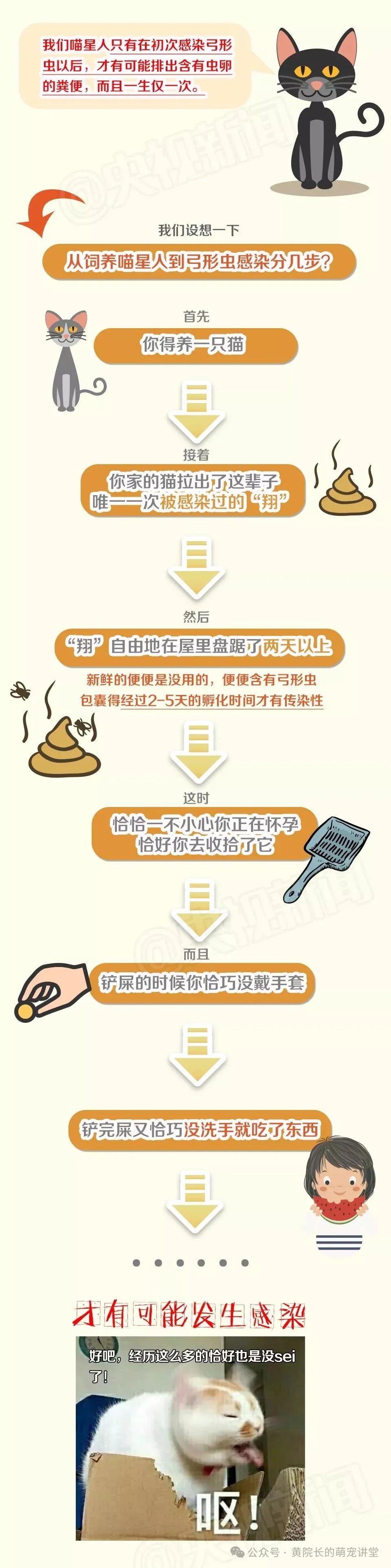央视辟谣怀孕不能养猫原文在哪_央视辟谣怀孕不能养宠物_央视新闻怀孕养宠物