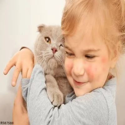 央视辟谣怀孕不能养宠物_央视辟谣怀孕不能养猫原文在哪_央视新闻怀孕养宠物