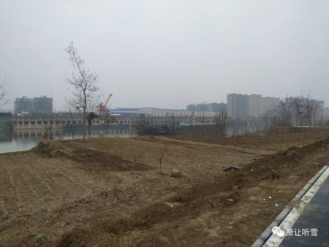 看淡生死继续生活_生死看淡继续生活图片_生死看淡的说说