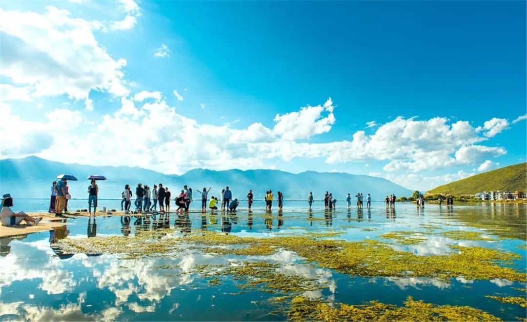 150+精品民宿任選12家免費住！承包你的全年度假，一月一家去山林湖海看遍四季！ 旅行 第50張