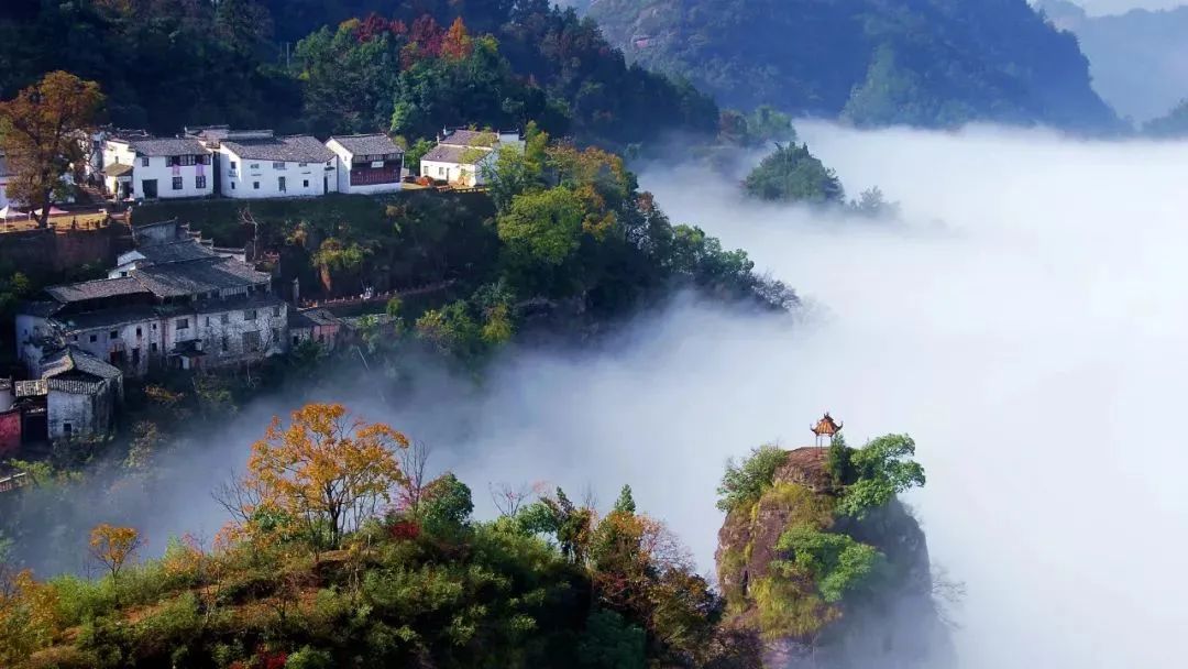 紅楓媲美香山，秋色不輸九寨溝！這個一年隻美30天的賞楓勝地千萬別錯過！ 旅遊 第66張