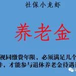 视同缴费年限，必须满足几个条件，才能参与退休养老金待遇的计算