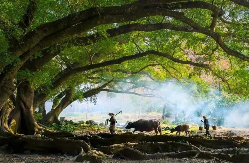 别人找你借钱,你急着问“借多少”就输了,聪明人这样说
