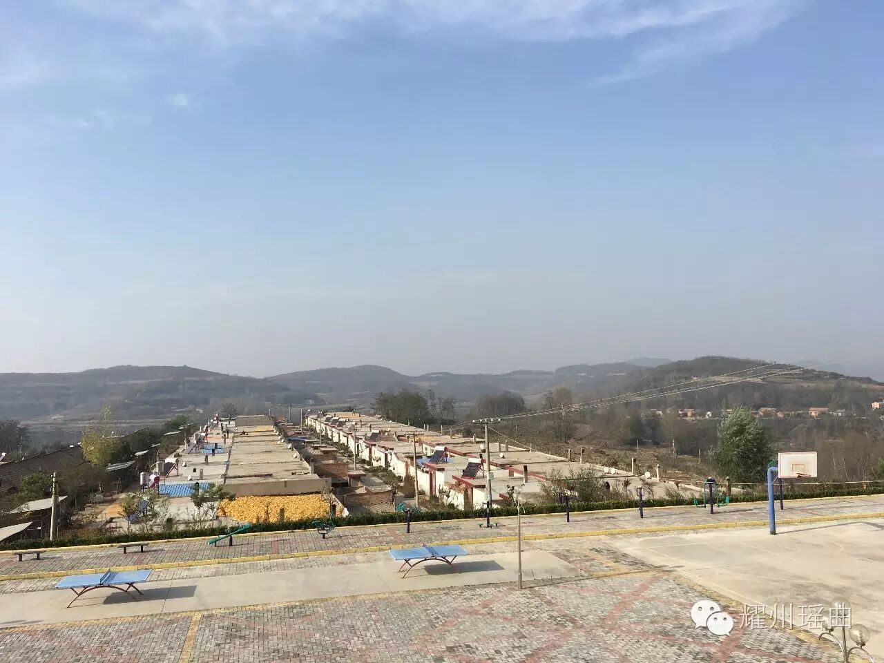 瑶曲镇脱贫攻坚系列报道养殖小小太香猪 走上脱贫致富路