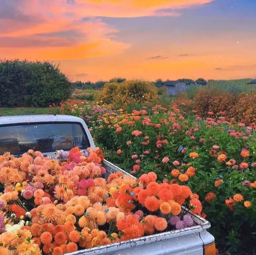 关于十月的朋友圈文案 全网搜