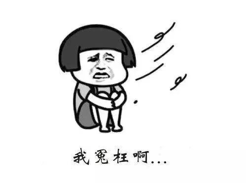 引用怎么标注不算抄袭_硕士论文引用算抄袭吗_论文整段引用算抄袭吗