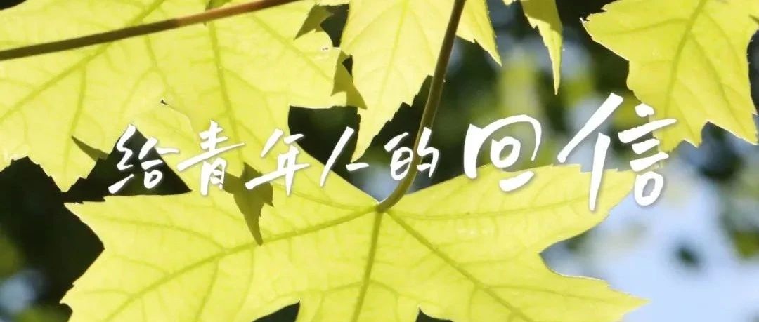 他们对青年说……