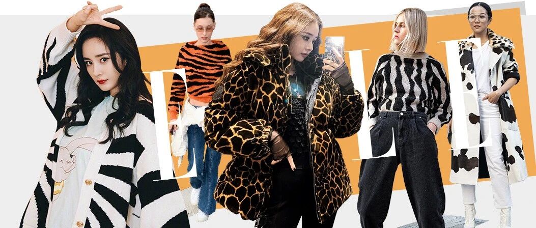 宋智雅的野心，全穿在她身上了！