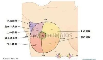 乳腺触诊成像怎么检查【科普】乳腺触诊及自我检查方法_https://www.jmylbn.com_新闻资讯_第2张