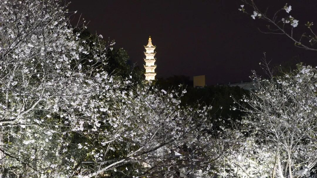 微信图片_20260408160502.jpg