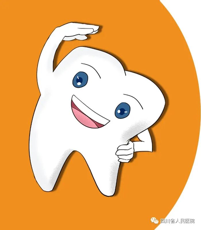 一颗牙齿的自白：我想陪你们慢慢变老~~