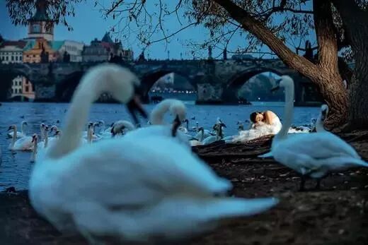 摄影技巧 | 优秀旅拍摄影需掌握的9个拍摄技巧！