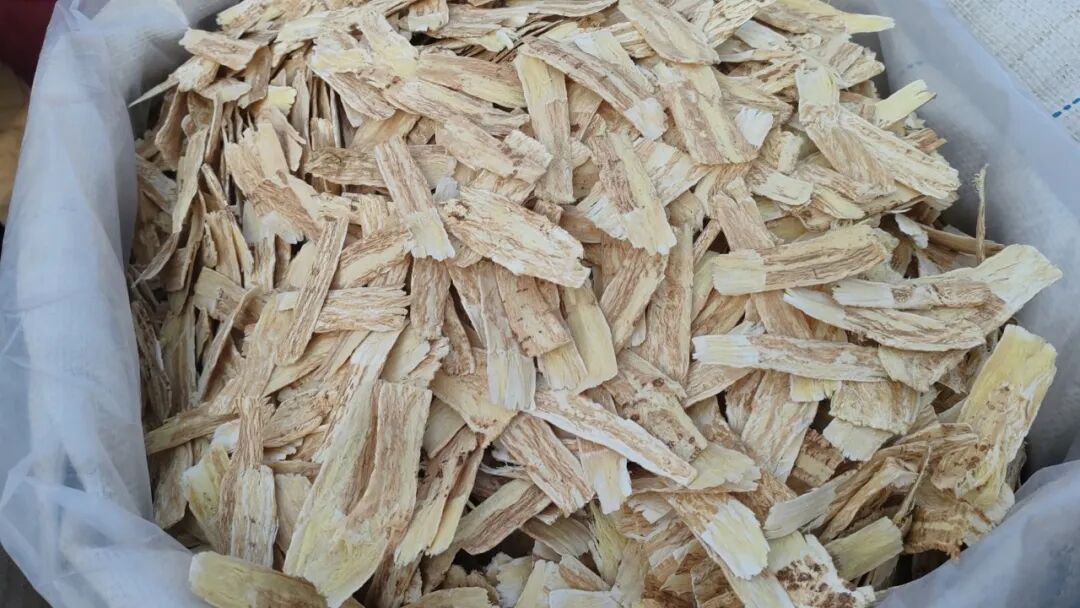 2024年3月4日岷县中药材市场快讯!