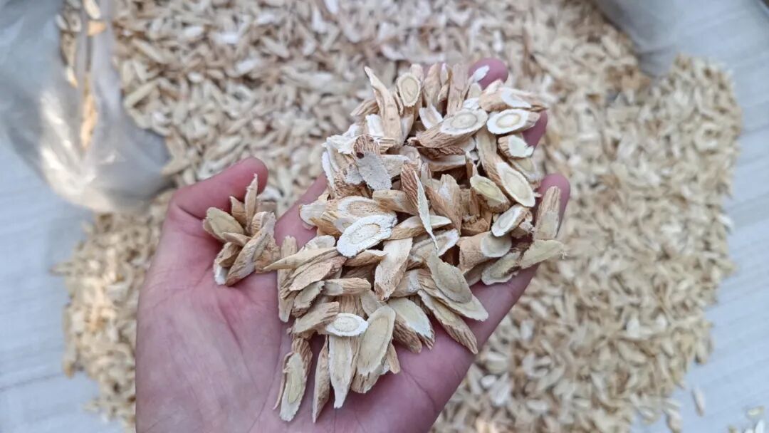 2024年3月4日岷县中药材市场快讯!