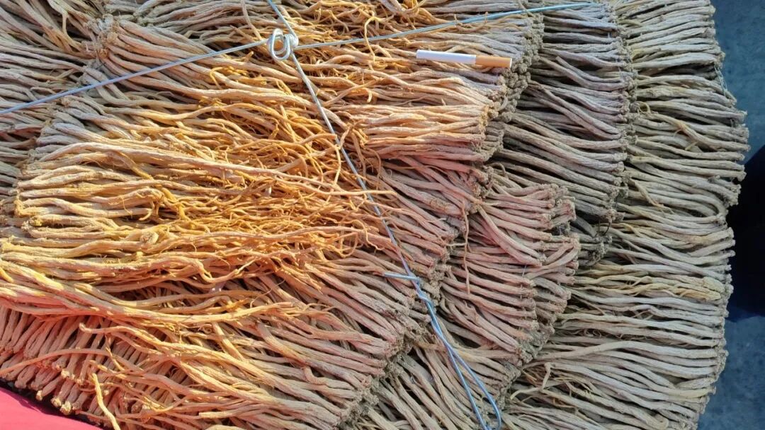 2024年3月11日岷县中药材市场快讯!