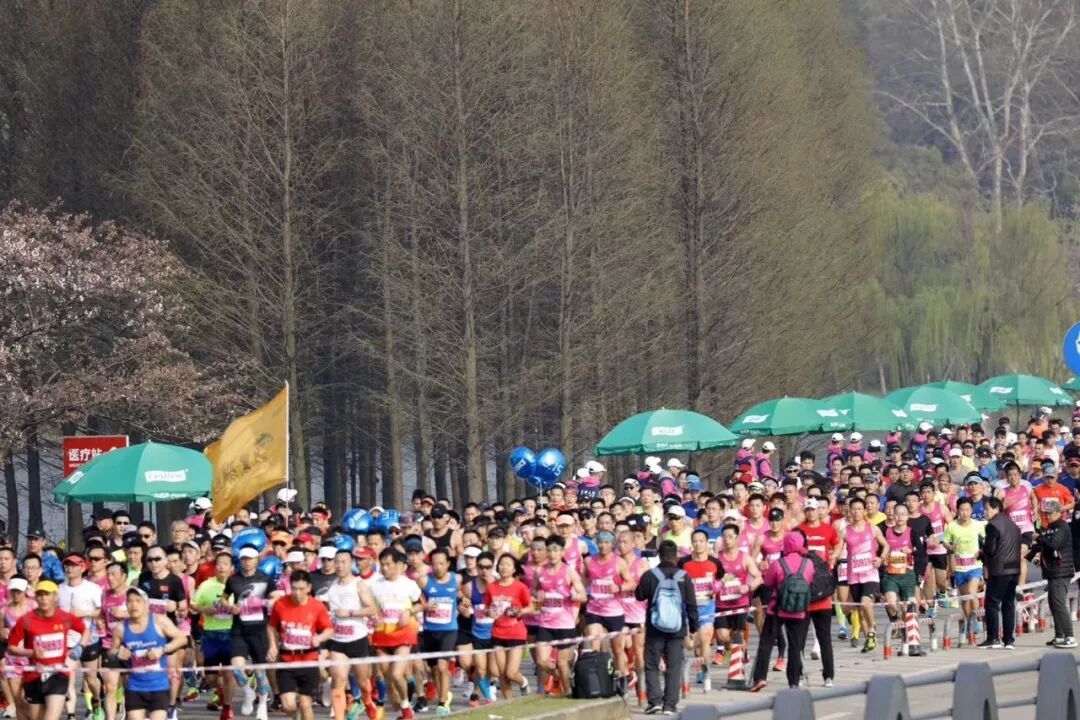 中国电信“5G”解锁 锡马、赏樱新姿势！