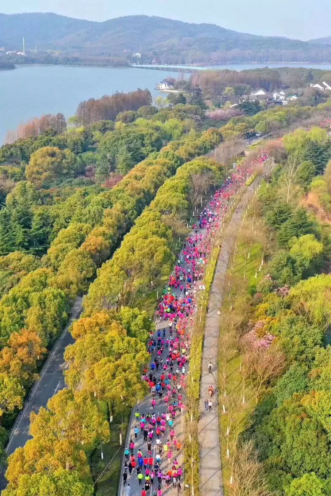 中国电信“5G”解锁 锡马、赏樱新姿势！