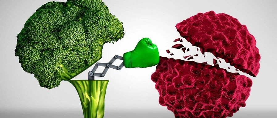 肿瘤治疗的多维度思考：营养管理或成为重要一环