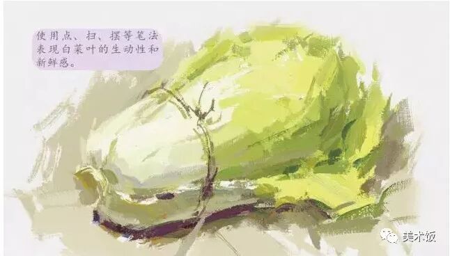 色彩静物教程——白菜画法