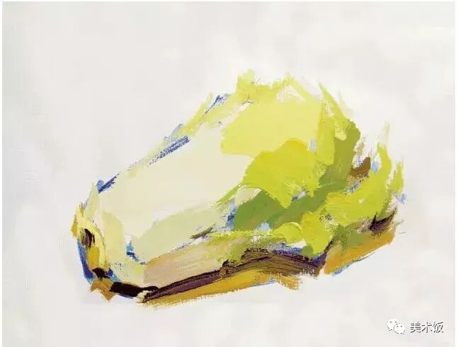 色彩静物教程——白菜画法