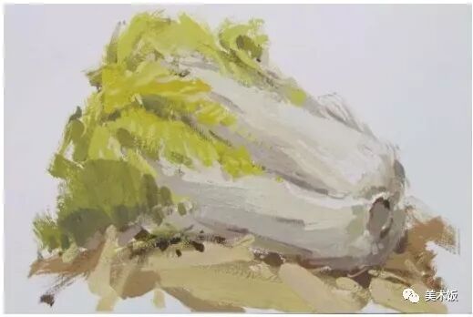 色彩静物教程——白菜画法