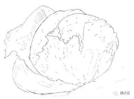 零基础就能学会的单个静物素描绘画教程——绘画技巧